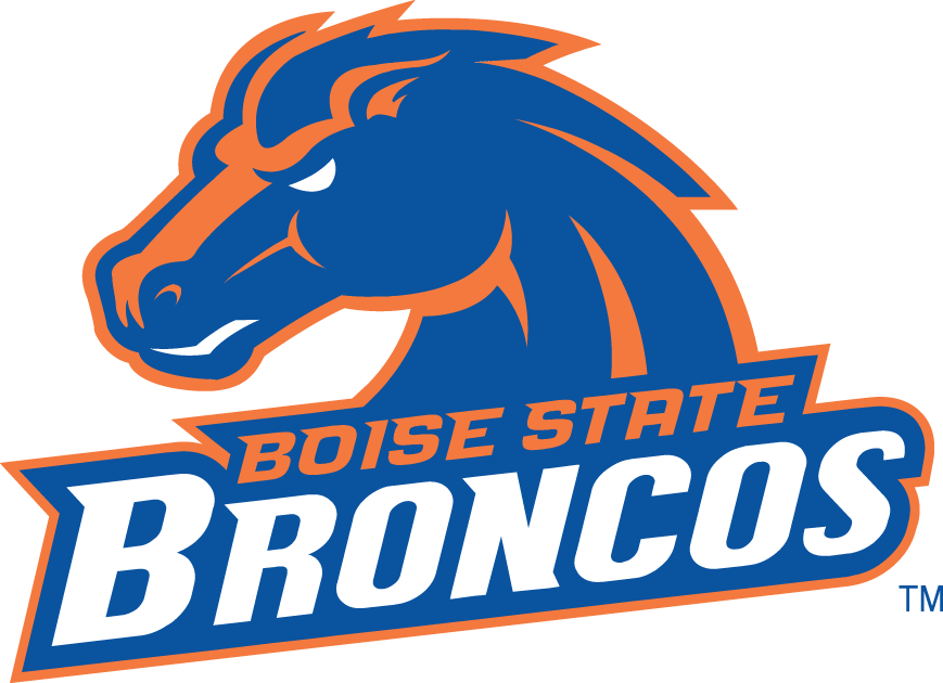 Boise State Broncos 2002-2012 Alternate Logo v2 DIY iron on transfer (heat transfer)